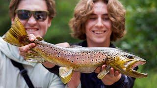 Hunting The LARGEST Trout In Tiny Creeks!? Extreme Creek Fishing!!