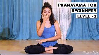 Pranayama | Nadishodhan Pranayama l Breathing technique for  Stress Relief | @VentunoYoga