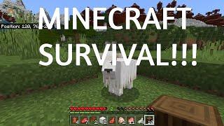 || Minecraft Survival (Easy Mode) ||