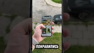 Живые обои на iPhone