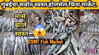 मुंबईचा सर्वात स्वस्त फिश मार्केट  | CSMT Wholesale Fish Market | Mumbai Wholesale Fish market