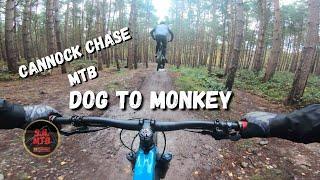 Cannock Chase Mtb: Follow the Dog to the Monkey