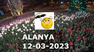 ЖИТЬ В ТУРЦИИ АЛАНЬЯ 12 МАРТА 2023 РОМКА РОКЕР ДОЖДИ ВЕСЬ ДЕНЬ