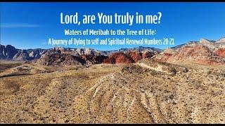 The Waters of Meribah, "Lord, are You truly in me?",Numbers 20 & 21[Scriptural Essence Through Song]
