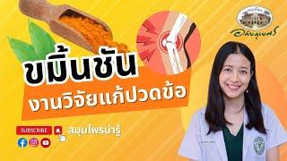 ขมิ้นชัน แก้ปวดข้อ ข้อเข่าเสื่อมกินได้ l สมุนไพรน่ารู้ (2023)