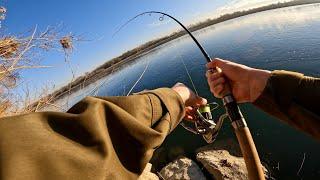 *** HUGE CATCH?! A TRUE MONSTER *** - Spinning in Po river