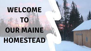 Welcome to Our Maine Homestead!