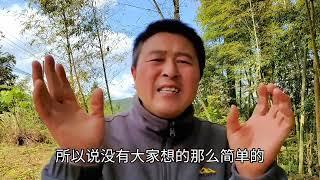 专业养蜂要具备哪些条件？专业养蜂到底赚不赚钱？老余现在告诉你