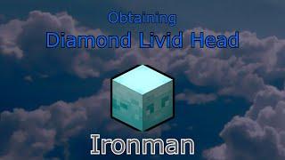 Getting A Diamond Livid Head On Ironman