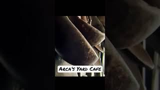 Arca’s Yard Cafe