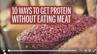 Protein Intake – How Much Protein Should You Eat Per Day?