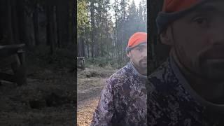 Царская охота медведь или вальдшнеп ? #приколы #тайга #охота #путешествия #рыбалка #спорт
