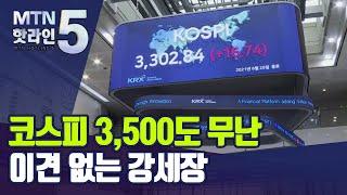 '가지 않은 길' 코스피 3,300 시대…하반기 강세장에 "이견 없다" / 머니투데이방송 (뉴스)