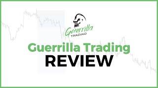 GUERRILLA TRADING REVIEW - 1 Year Review - Does The Strategy Work?