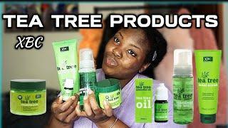 How to Use Tea Tree Products for Acne | Clear Your Skin Naturally!