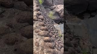 Kite Trail | Wichita Mountains Wildlife Refuge #shorts