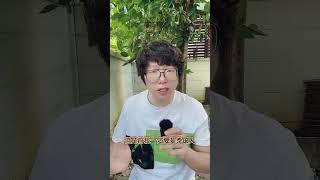 泰国到底可以娶几个老婆你知道吗 #内容过于真实 #泰国