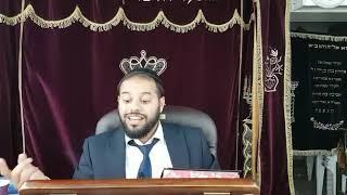 פרשת ויגש התשפ הרב פלא כפרי איך אפשר להפוך לב של שונא לאוהב? וסיפור עם השגחה פרטית מדהימה צפו!!