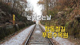 #23 서울에 눈이 오는날 항동철길 푸른수목원 Hangdong Railway  Blue Arboretum