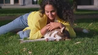 Pawsitive Vibes: Why Dogs Are Your Best Buddies!