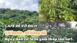 SIÊU RẺ SỔ HỒNG ĐỦ , CAFE XEN TIÊU ĐẤT ĐỎ GẦN QL28