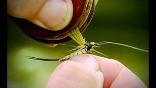 Oliver Edwards shows how to keep your dry fly floating well after being mauled by a large trout.