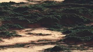 Sea of seamless nothing Free Vj Loop