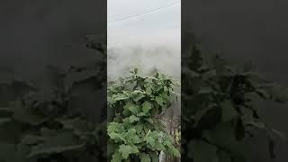 Low-Temperature Atomization + Voice Alerts – Safe & Smart!"#ColdFogger #AutoShutdownSprayer
