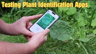 How Accurate are Plant Identification Apps?