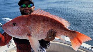 State water Red Snapper Fishing, LIMITS!! Catch and Cook (Corpus Christi TX)