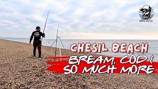 Bream, Cod & So Much More | A Super Session On Chesil Beach | Fishing With Wayne 