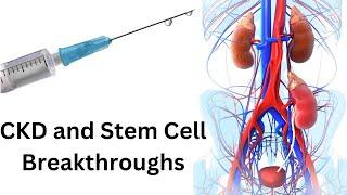 CKD and Stem Cell Breakthroughs: Changing the Landscape of Kidney Care