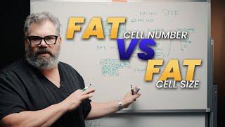 Fat Transfer Secrets: Understand Fat Survival After Surgery