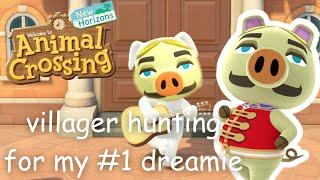 villager hunting for my ULTIMATE dreamie!