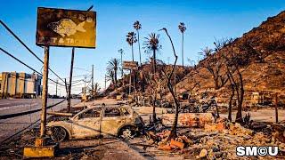 Touring the Aftermath: Malibu’s Fire-Ravaged Coastline Along PCH