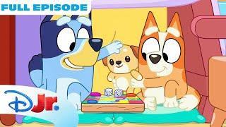 Bluey Full Episode | Cubby | S3 E38 |  @disneyjr  x @BlueyOfficialChannel