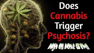 Study Reveals How Cannabis Triggers Psychosis, But Can We Believe What it Says?