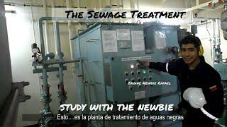 Sewage treatment Plant on board ships! What happens after you flush!