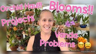 Orchid Mixtape!! A HAUL! Awesome blooms!  New projects & Vanda Problems!! #orchid #plants #garden