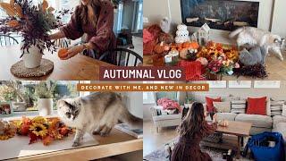 Cosy Autumnal vlog | Decorate with me, Autumnal decor ideas, new decor from The Range and a haul 