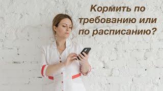 Кормить по требованию или по расписанию? Татьяна Лебедева