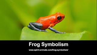 Frog Symbolism