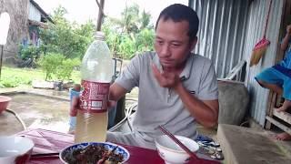Ăn Nhậu Món Đạm Bạc Ba Khía Muối
