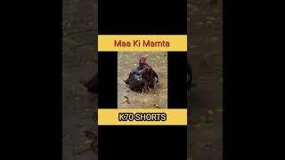 Maa Ki Mamta  #maa #maakimamta  #youtubeshort  #shorts