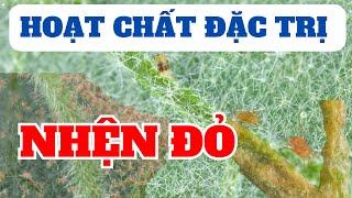 Tổng hợp các hoạt chất ĐẶC TRỊ NHỆN ĐỎ phổ biến | Luân phiên quản lý tính kháng | Sản phẩm MKA