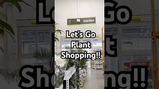 Beginner Plant Care: Learning as I Grow!  | My Plant Journey #planttherapy