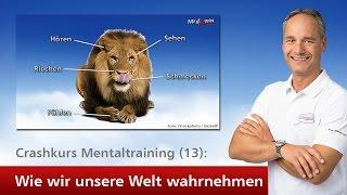 Crashkurs Mentaltraining (13): Wie wir unsere Welt wahrnehmen