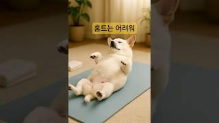  “홈트 초보 강아지의 현실 루틴.zip" #shorts   #강아지 #브이로그 #cute #홈트