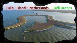 19~ Tulip-island/Tulpeiland - Zeewolde - Netherlands