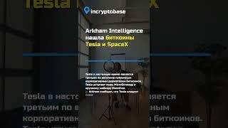 Arkham Intelligence нашла биткоины Tesla Spacex